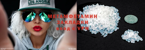 сатива Бородино