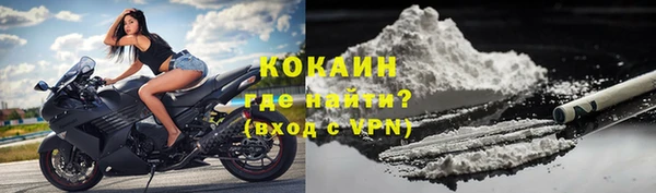 сатива Бородино