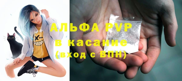 сатива Бородино
