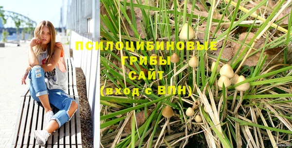 2c-b Богородицк
