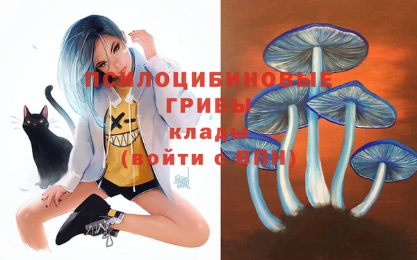 гидра Беломорск